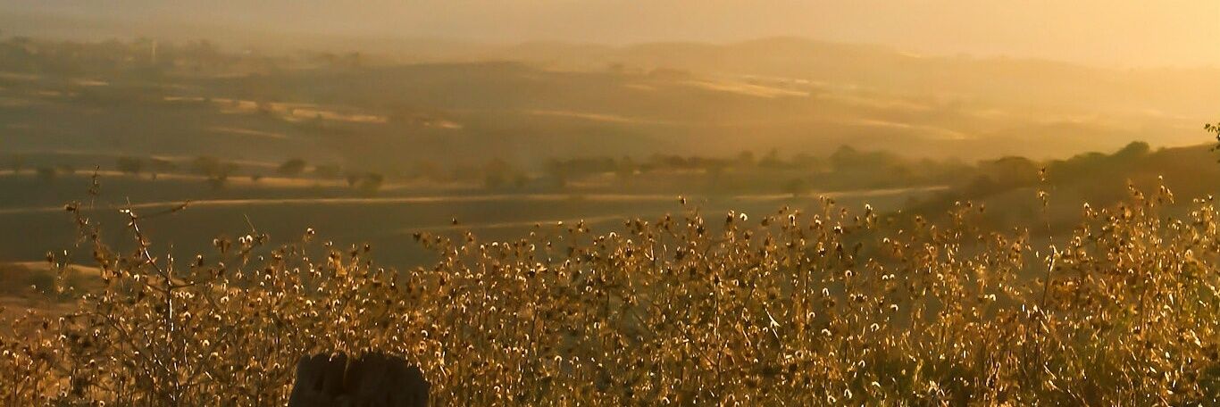 Bastian_Winter_'s profile banner image