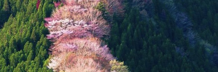 JoriMo1983on's profile banner image