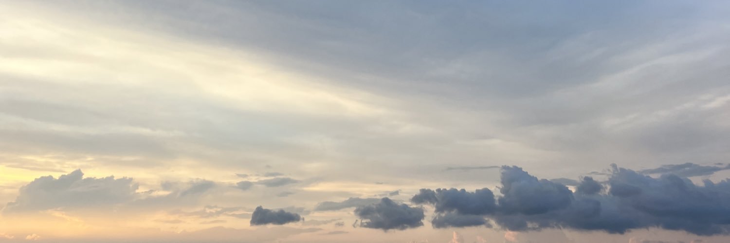 BrittSouthern's profile banner image