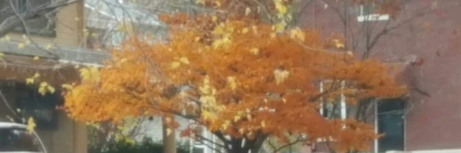 AngieRigsby's profile banner image