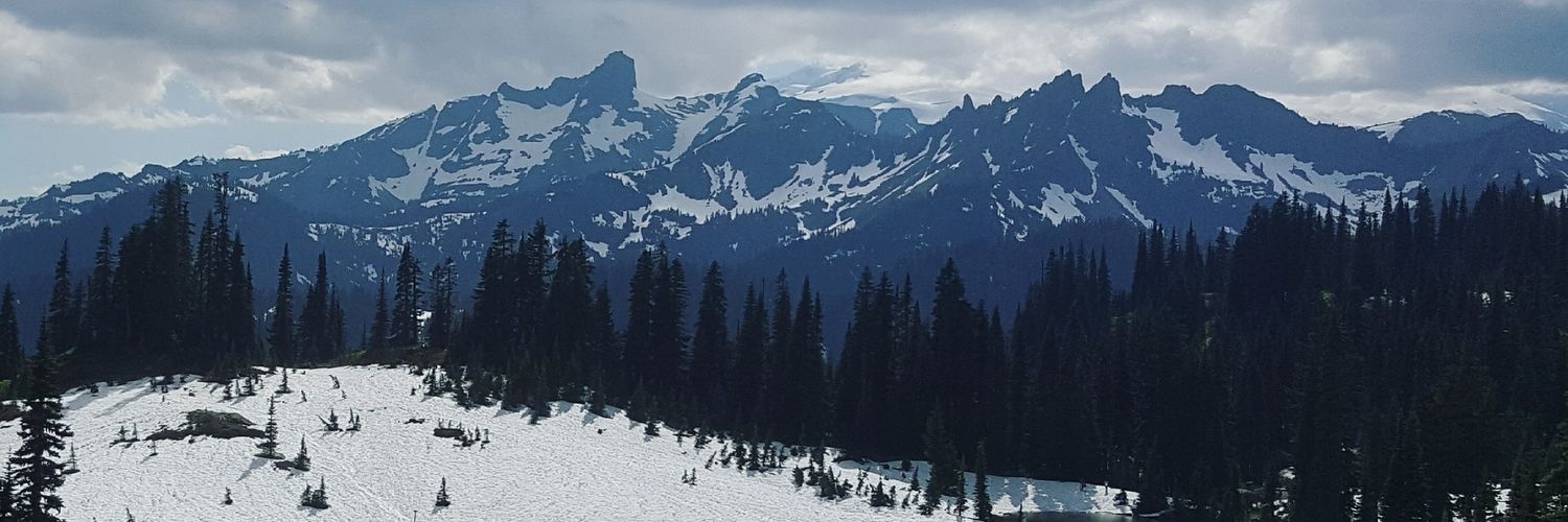 threebrownbees's profile banner image