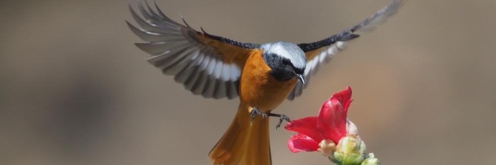 pan22363's profile banner image