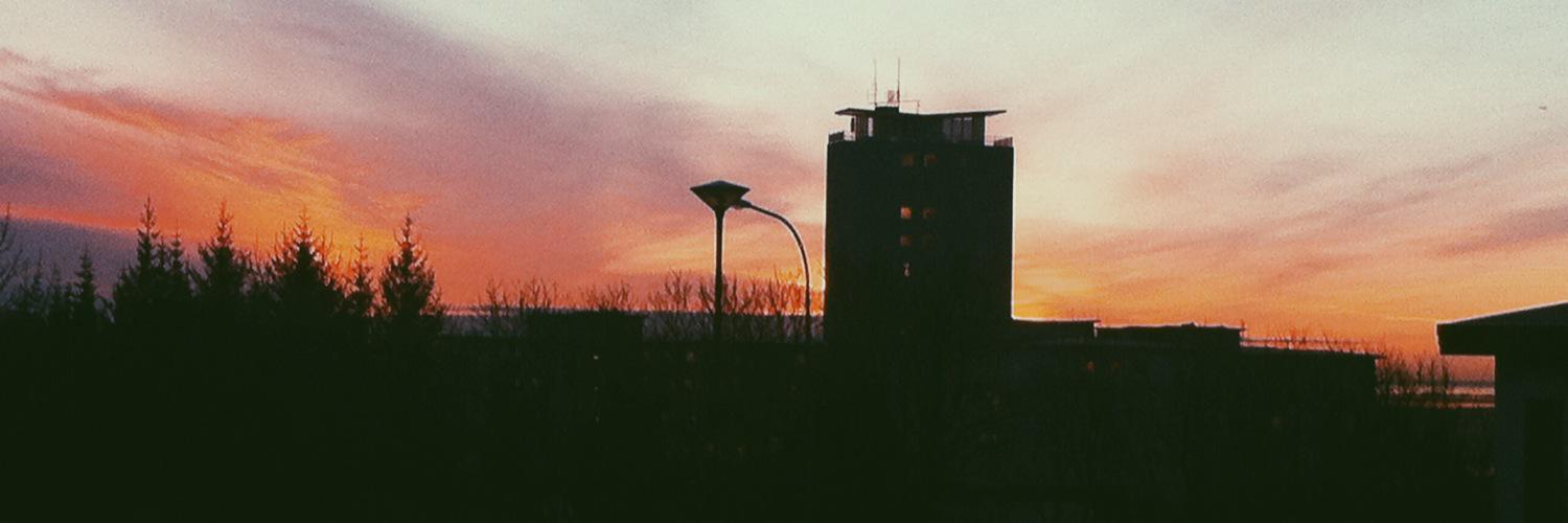 Snædís Logadóttir banner