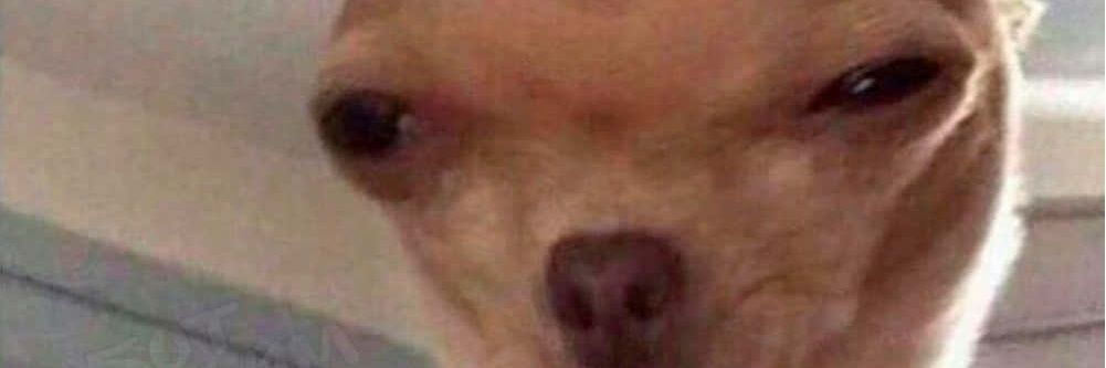 chiefpoptarts21's profile banner image