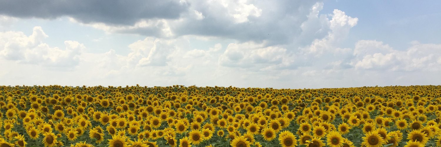 neshumaher's profile banner image