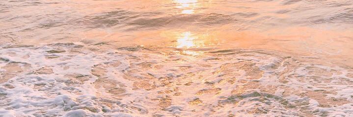 gnicoledeocampo's profile banner image