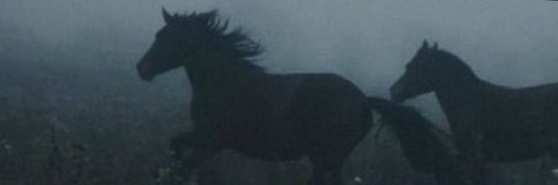 iherturk's profile banner image