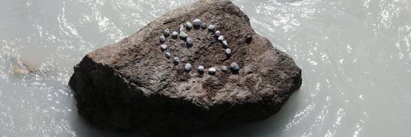 aniemal_val Profile Banner