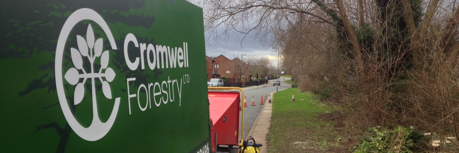 CromwellForest's profile banner image