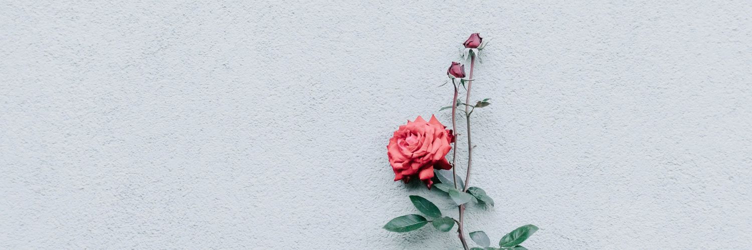 roroselleselle's profile banner image