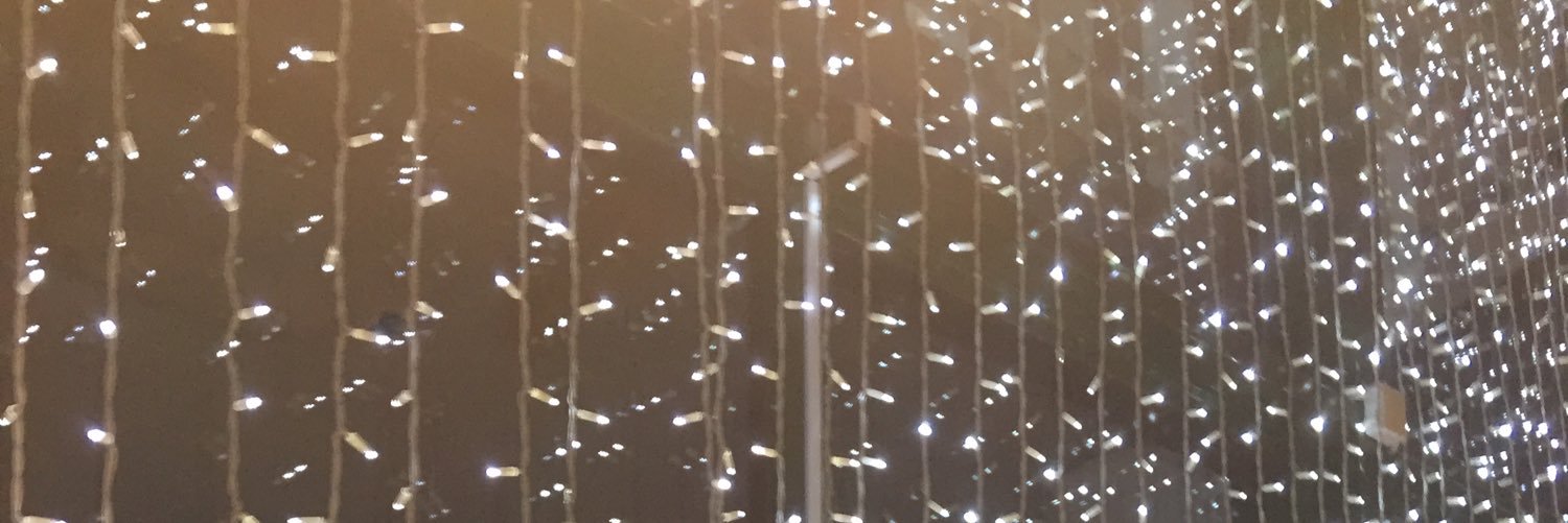 Elin banner