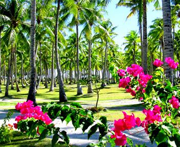 Nellicious1's profile banner image