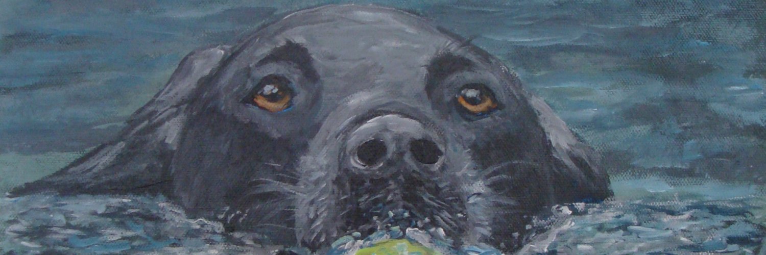 CanadianCreator's profile banner image