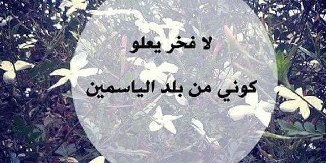 fi52841540's profile banner image