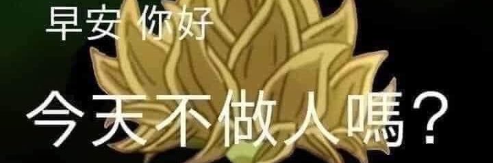 hhss99tw's profile banner image