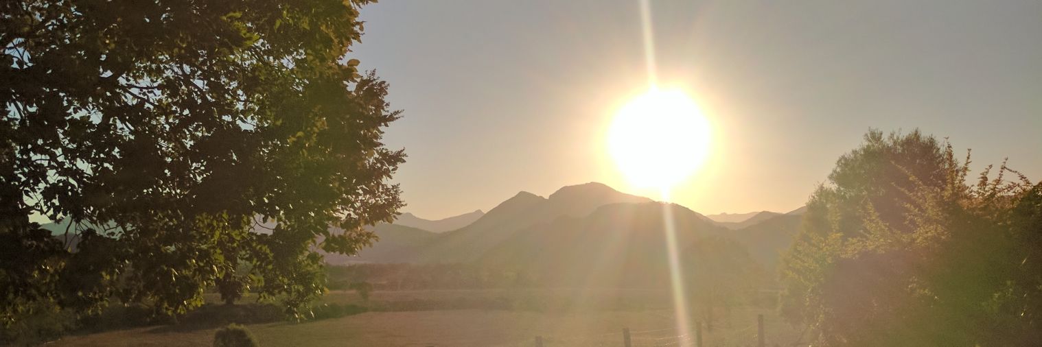 CarniCore_'s profile banner image