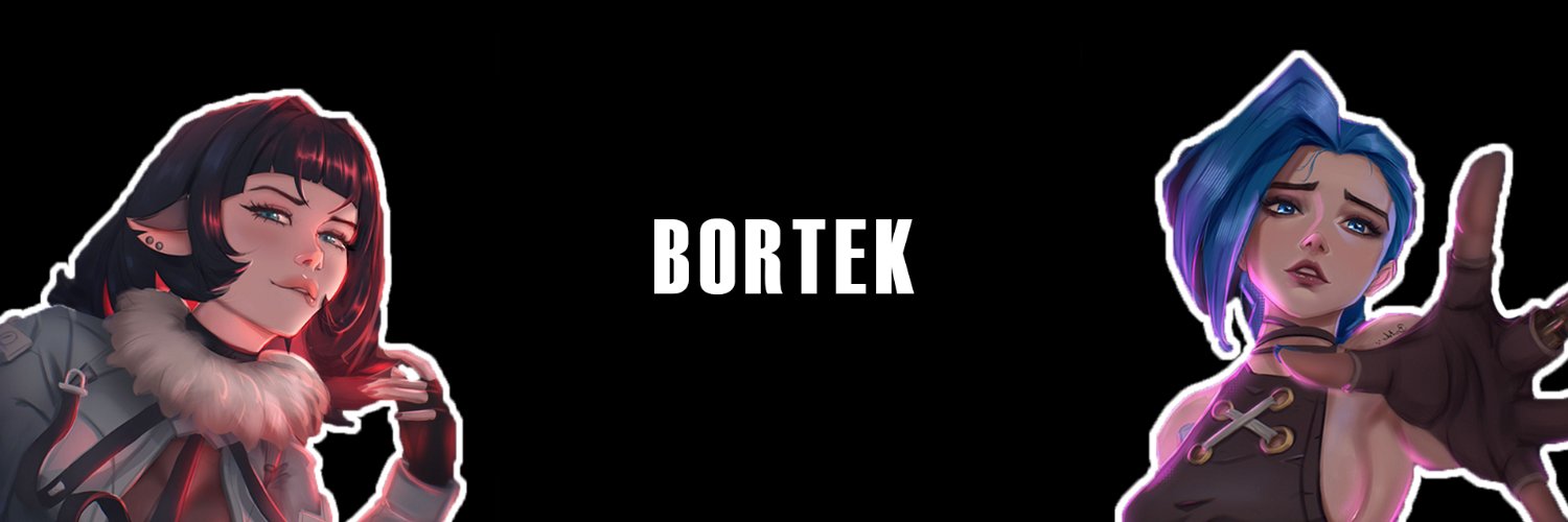 Bortekr's profile banner image