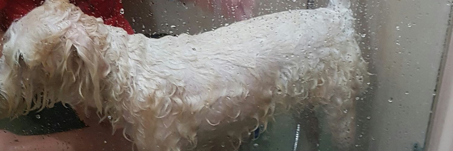chinlessboy99's profile banner image