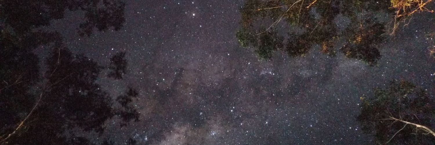 lenlaire's profile banner image