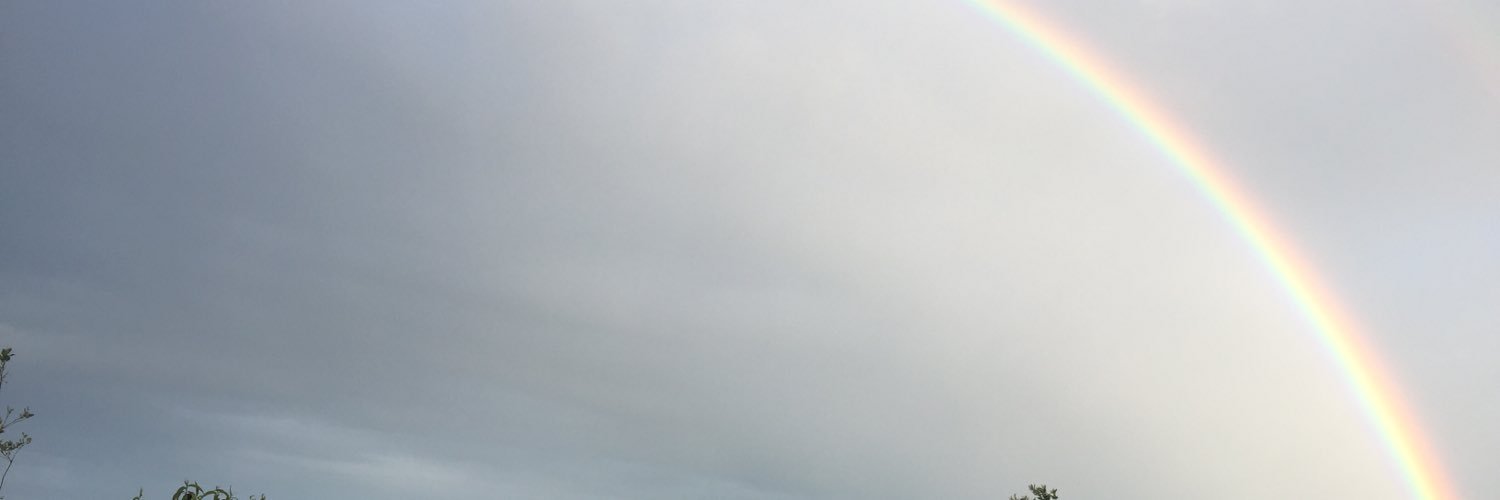 Dealu61's profile banner image