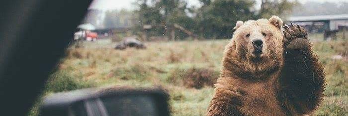 didemyeni's profile banner image