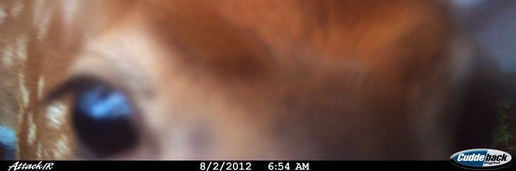 stilesvapor's profile banner image