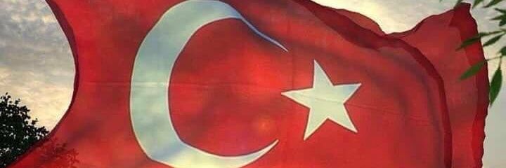 NGYnrts's profile banner image