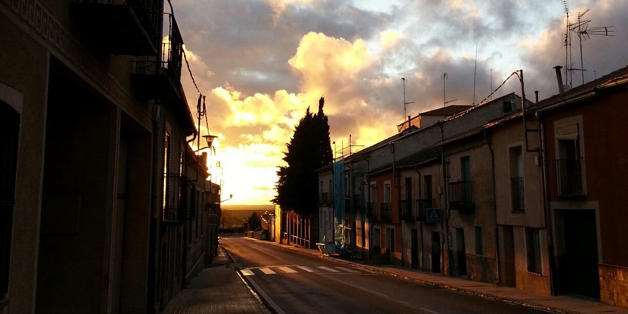 Tere M. Migueláñez banner