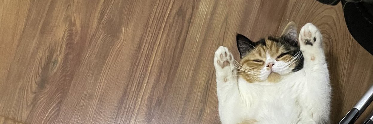 loowishappy_'s profile banner image