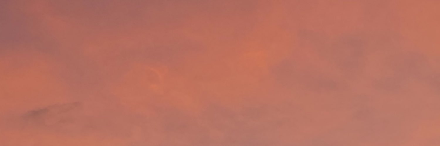 atapus11's profile banner image