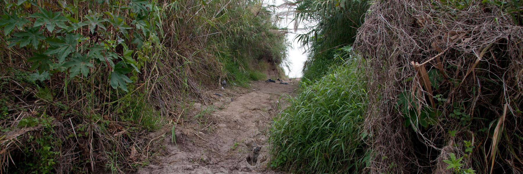 Susan Harbage Page banner