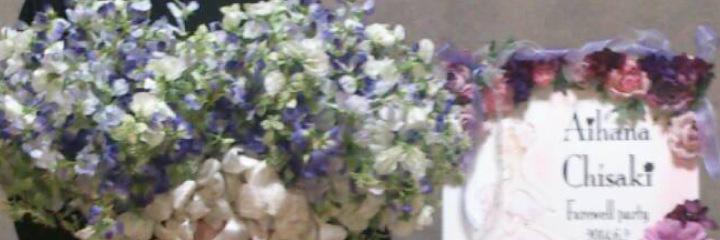 愛花  ちさき banner