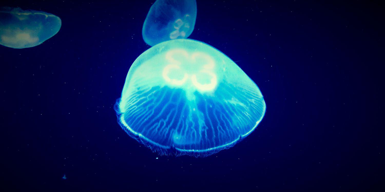 Prashin Unadkat banner