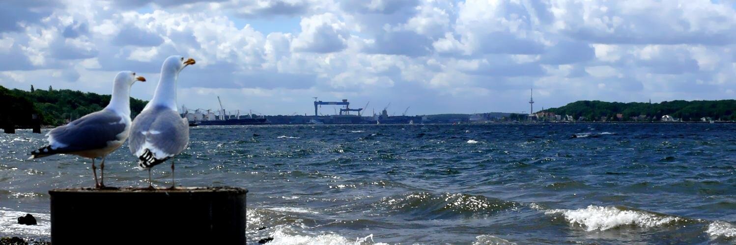 kieldock's profile banner image