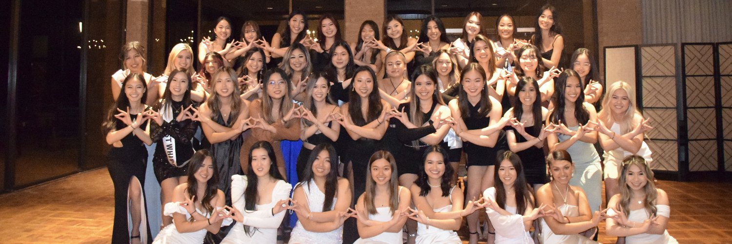 Texas αΚΔΦ banner