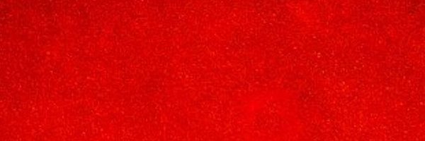 RepezenFoxx Profile Banner