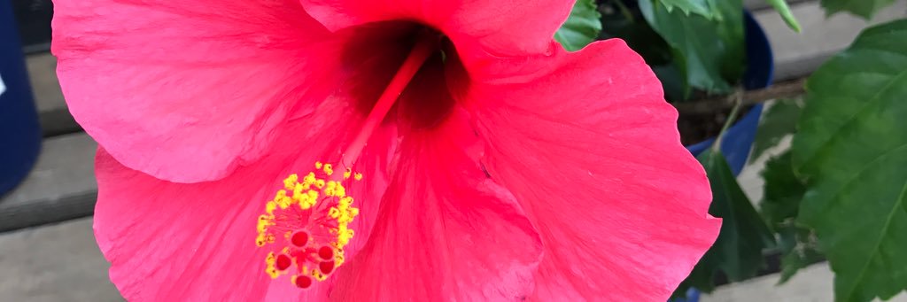 ms_me_16's profile banner image