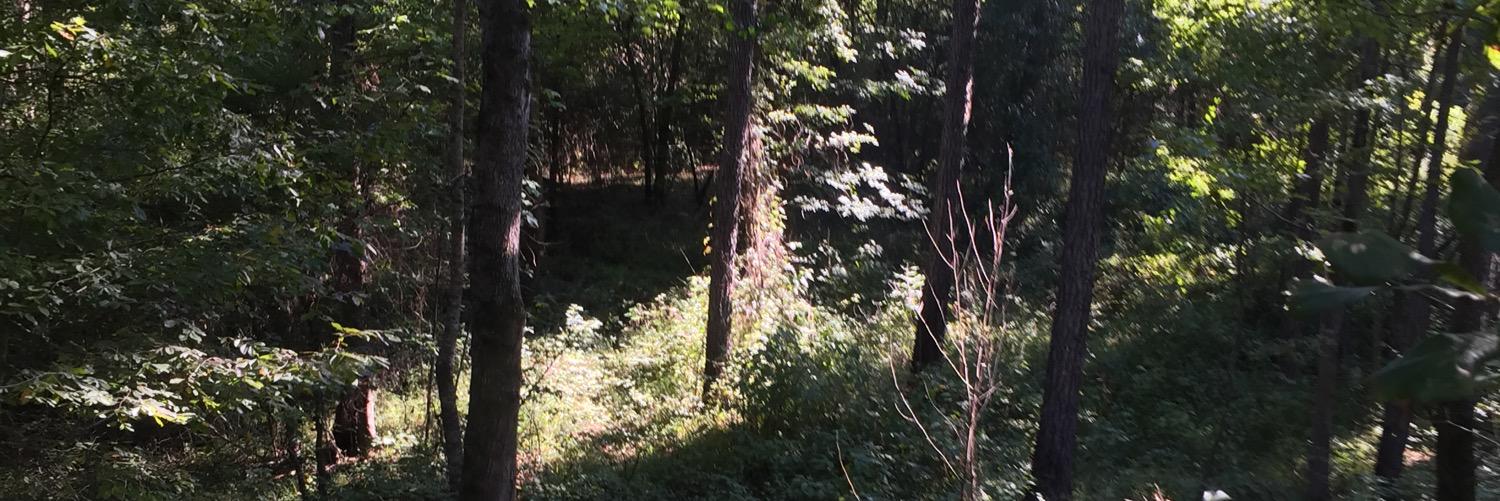 BackwoodsUnited's profile banner image
