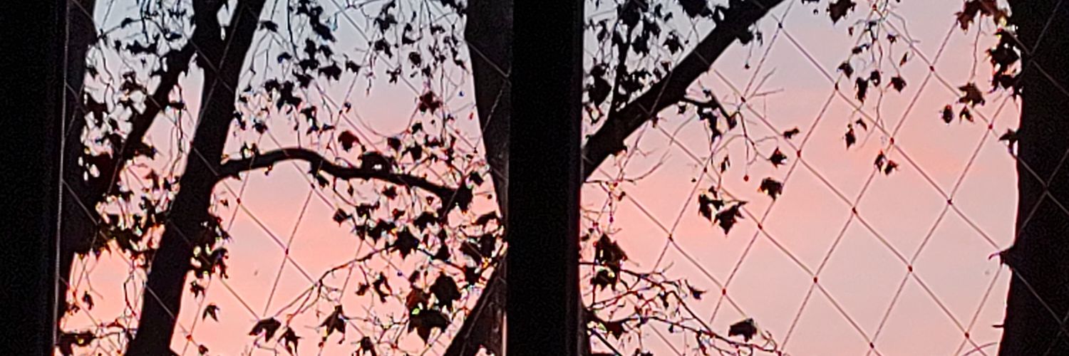 sofiaviaja's profile banner image