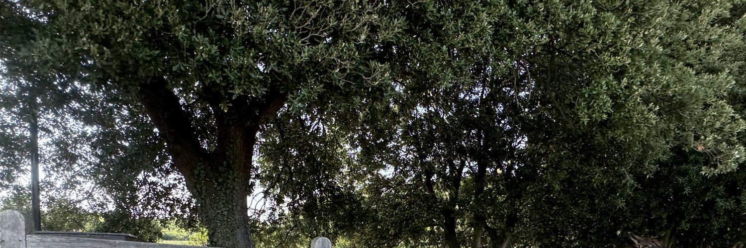 Ken White BEM banner