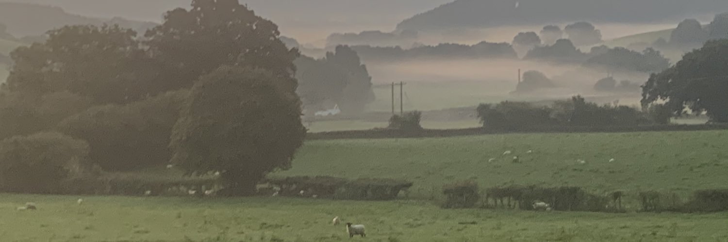 CeriJones banner