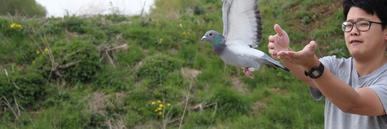 fumihiro kano banner