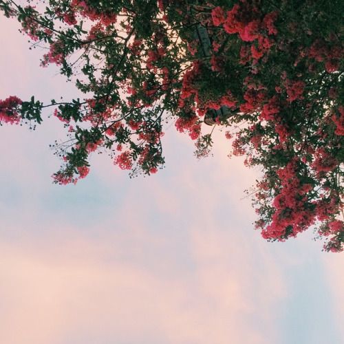 sultan_malik123's profile banner image