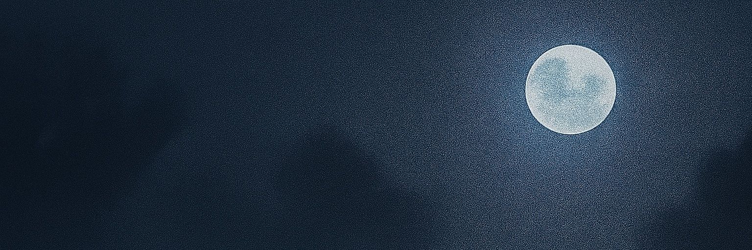 maca_tony's profile banner image