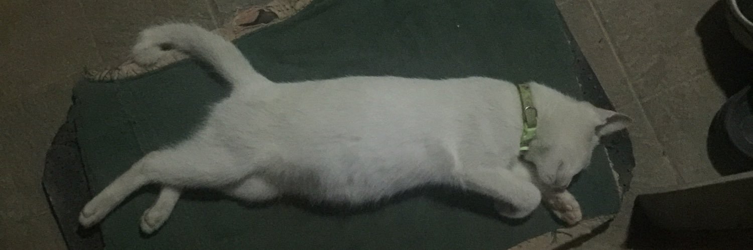 darsbtch's profile banner image