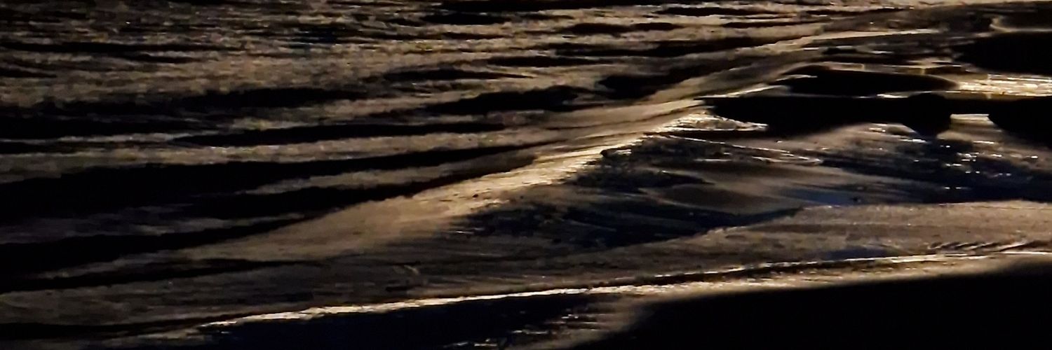WBschnuggelsche's profile banner image