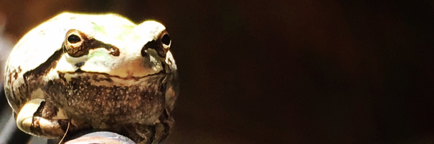 120mikey's profile banner image