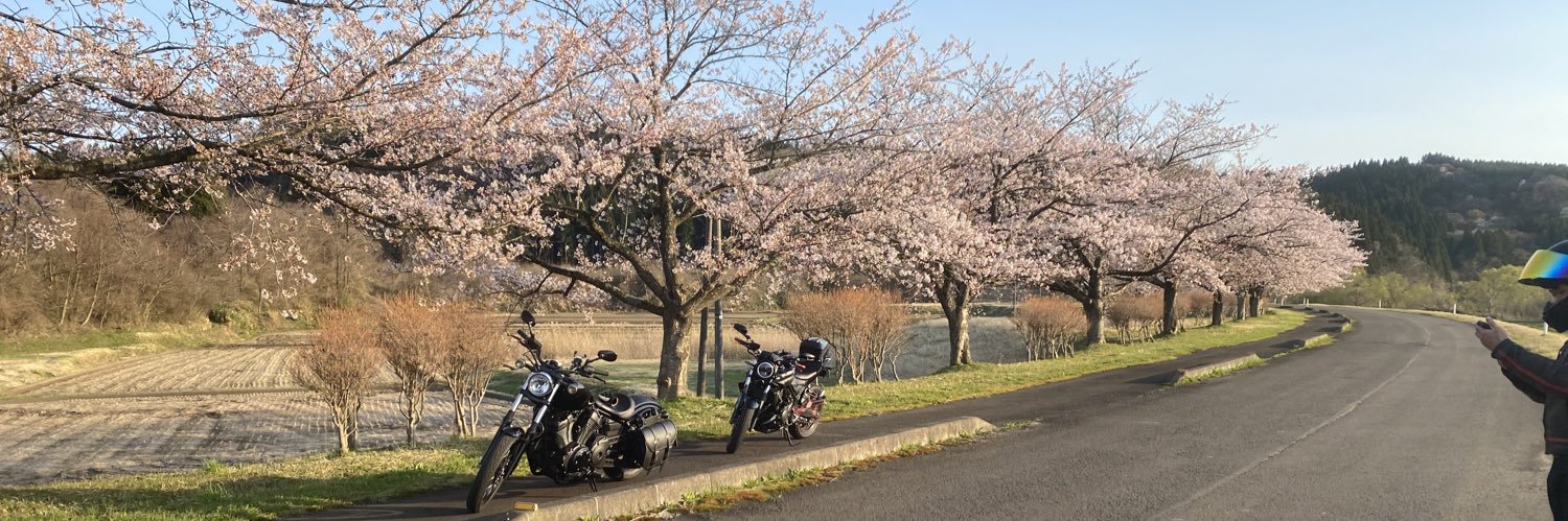 nazoiro's profile banner image