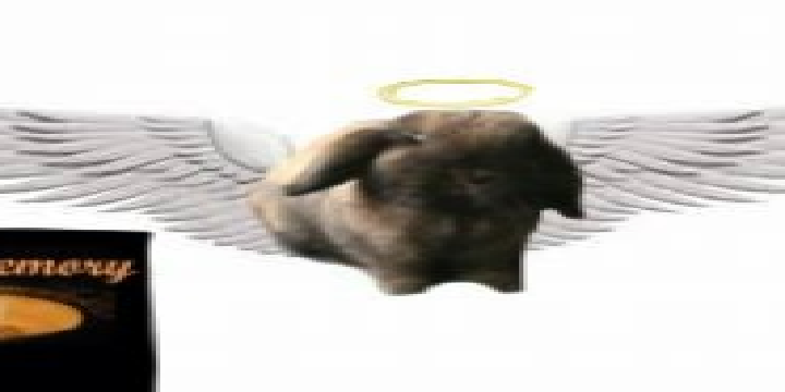 pickles270's profile banner image