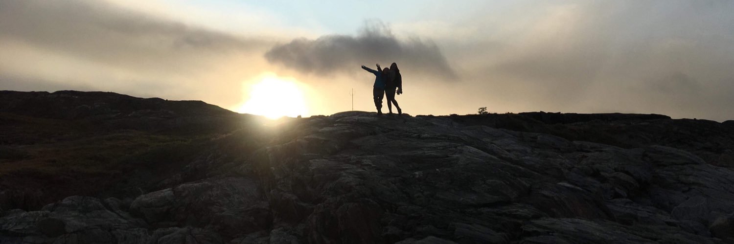 NadjaRLarsen's profile banner image